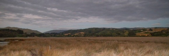 The wildlife reserve in the Pauatahanui Inlet