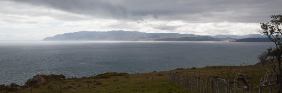 Wellington's South Coast from Baring Head