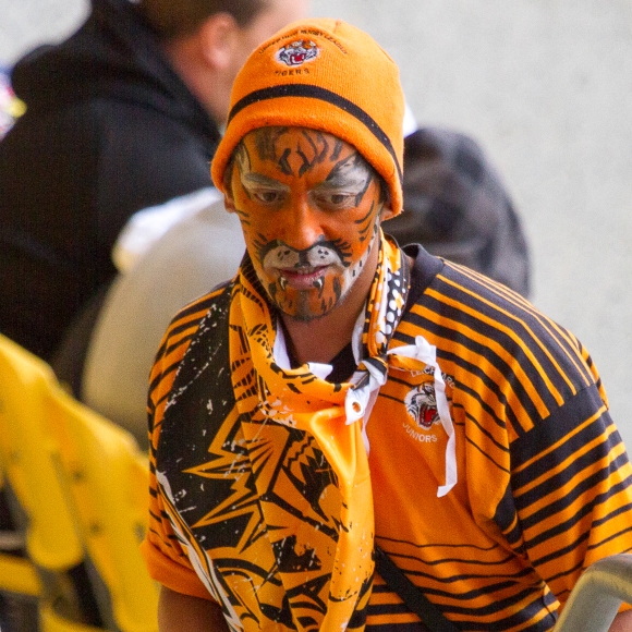 Tigers fan